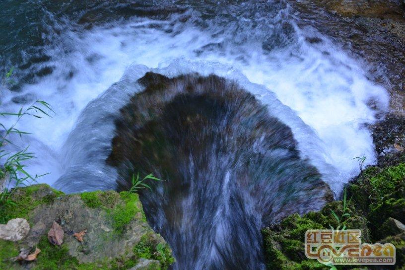 带你揭秘——风油精止痒的秘密