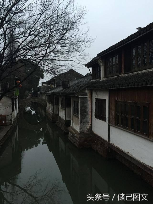 饥饿的松鼠救援